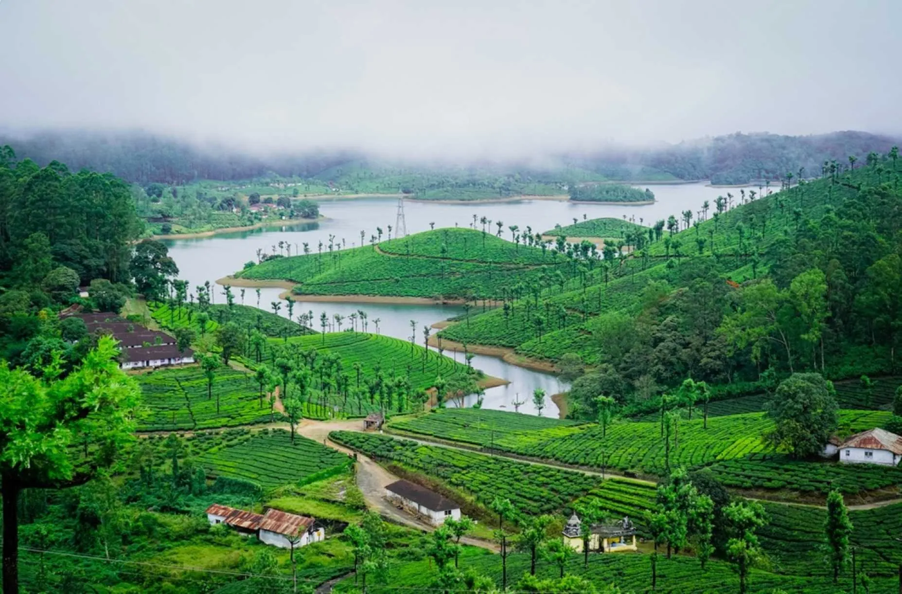 Valparai Scenic Tour